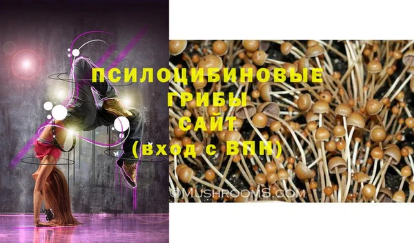 гидропоника Нягань
