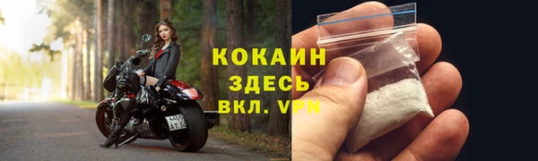 дмт Новодвинск