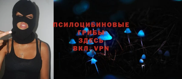 гидропоника Нягань