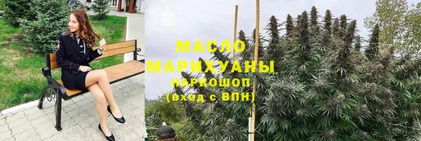 дмт Новодвинск