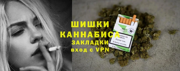 ALPHA PVP Новозыбков