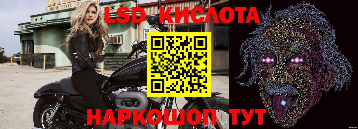 Наркотические марки 1500мкг Владимир