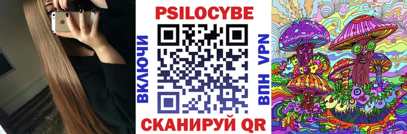 где купить наркотик  Владимир  Галлюциногенные грибы Magic Shrooms 