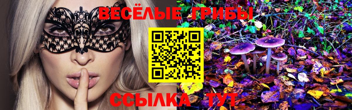 Псилоцибиновые грибы Magic Shrooms  Вход с VPN  Владимир 