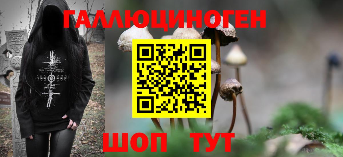 Псилоцибиновые грибы GOLDEN TEACHER  Владимир  Псилоцибиновые грибы мухоморы 